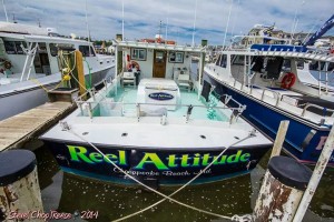 Reel Attitude Charter Boat at Dock